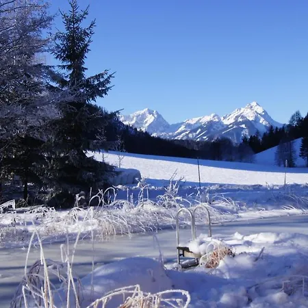 Ferienhutten Brandtner Chalet Rossleithen